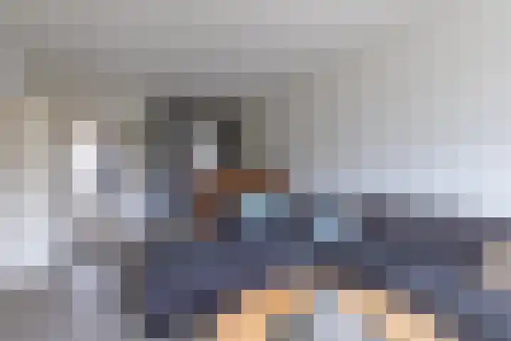 De Vlet 41 Tuitjenhorn thumbnail 5