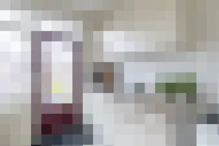De Vlet 41 Tuitjenhorn thumbnail 8