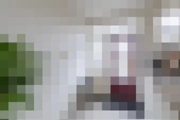 De Vlet 41 Tuitjenhorn thumbnail 9