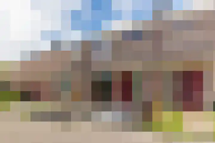 De Vlet 43 Tuitjenhorn