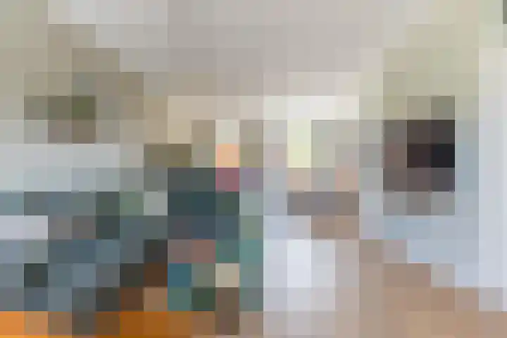 De Vlet 43 Tuitjenhorn thumbnail 10