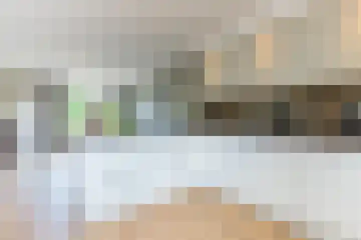De Vlet 43 Tuitjenhorn thumbnail 13