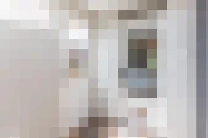 De Vlet 43 Tuitjenhorn thumbnail 16