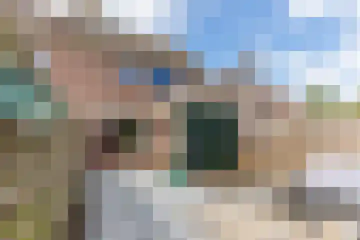 De Vlet 43 Tuitjenhorn thumbnail 30