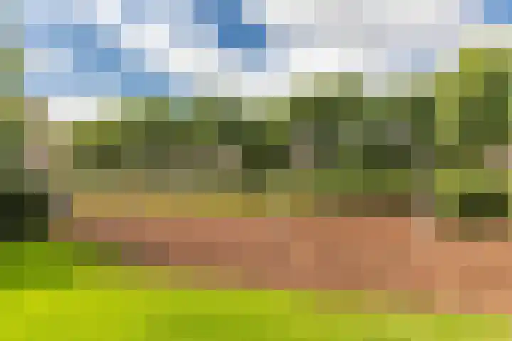 De Vlet 43 Tuitjenhorn thumbnail 36
