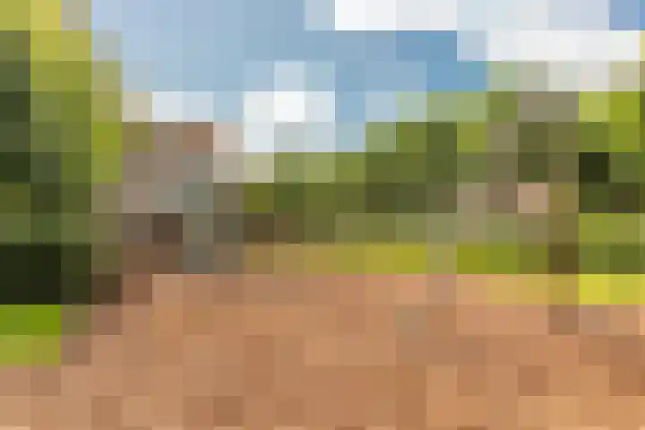 De Vlet 43 Tuitjenhorn thumbnail 37