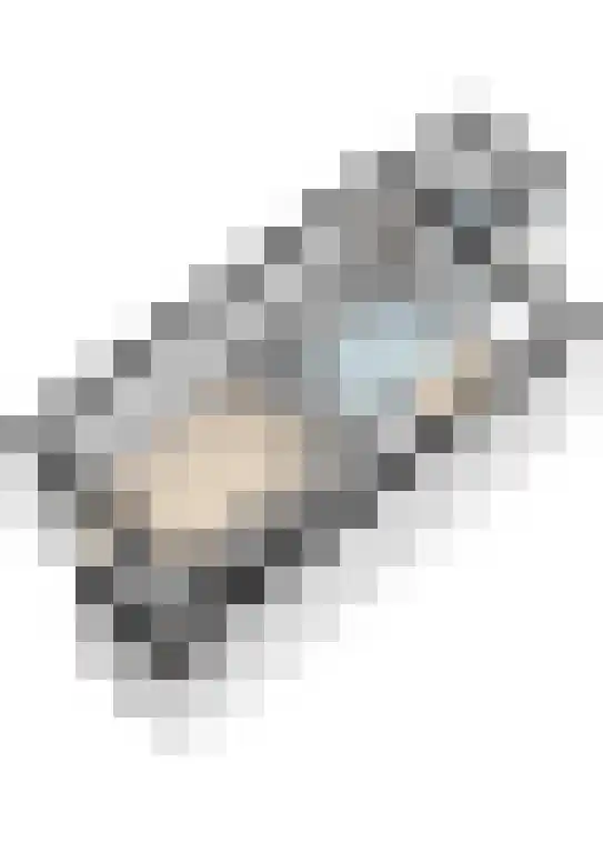 De Vlet 43 Tuitjenhorn thumbnail 39