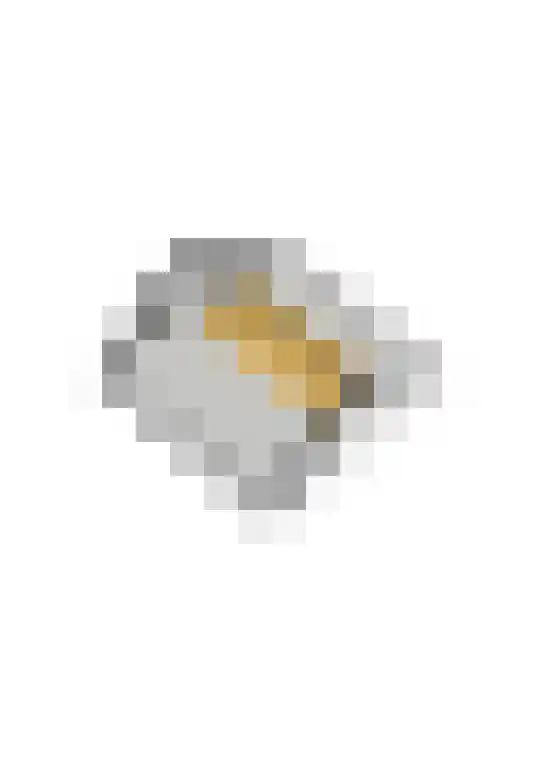 De Vlet 43 Tuitjenhorn thumbnail 44