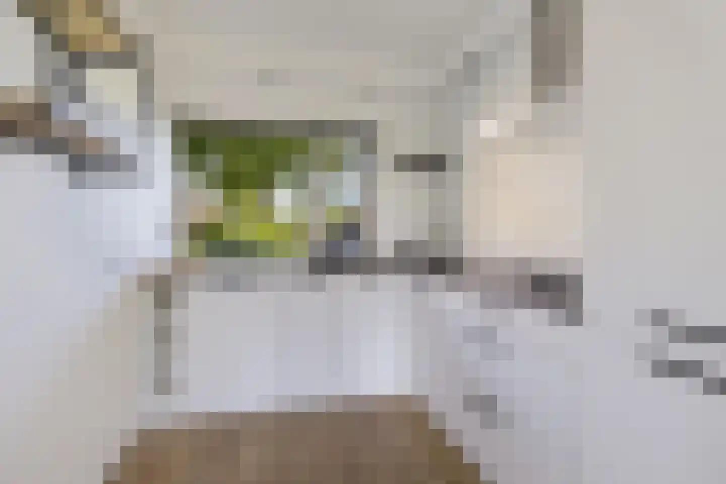 De Vlet 52 Grou thumbnail 14