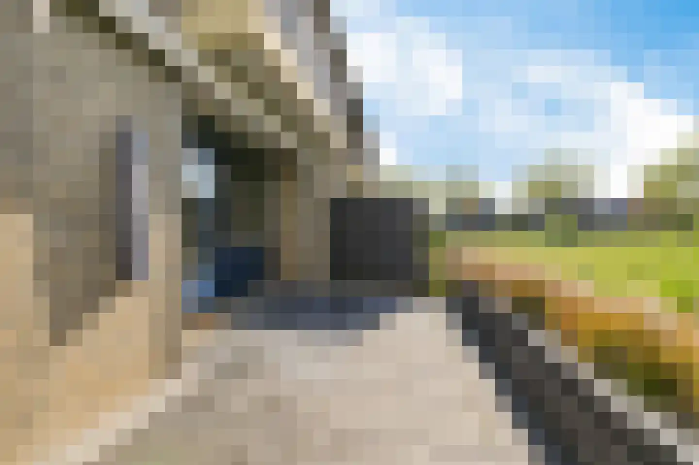 De Vlet 52 Grou thumbnail 24