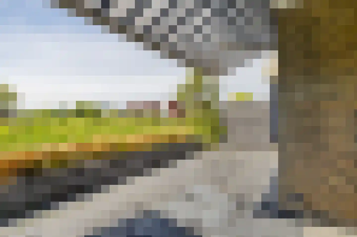 De Vlet 52 Grou thumbnail 26