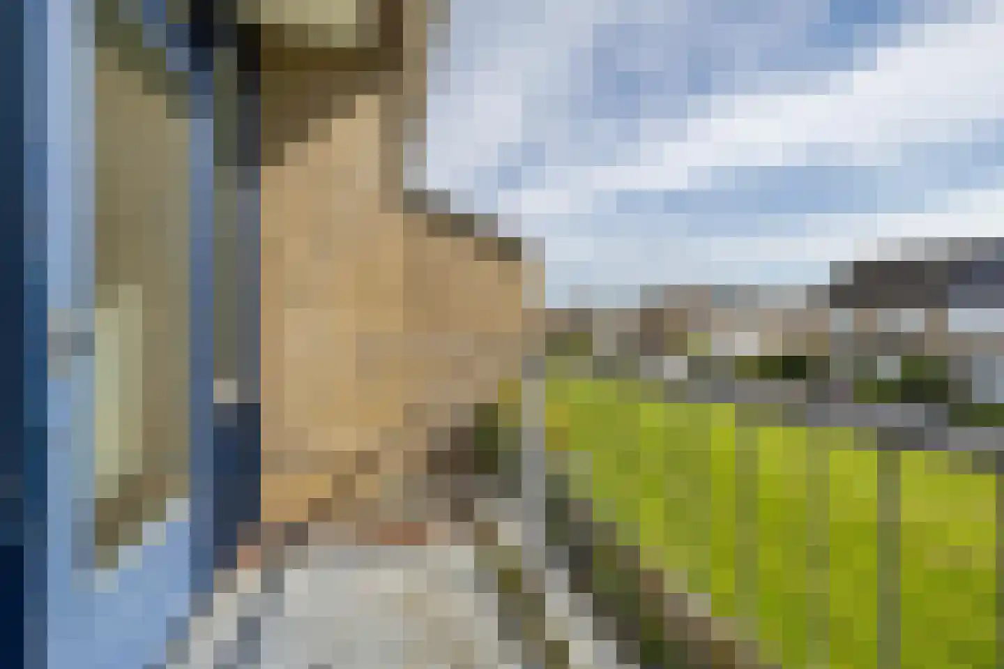 De Vlet 82 1 Grou thumbnail 32
