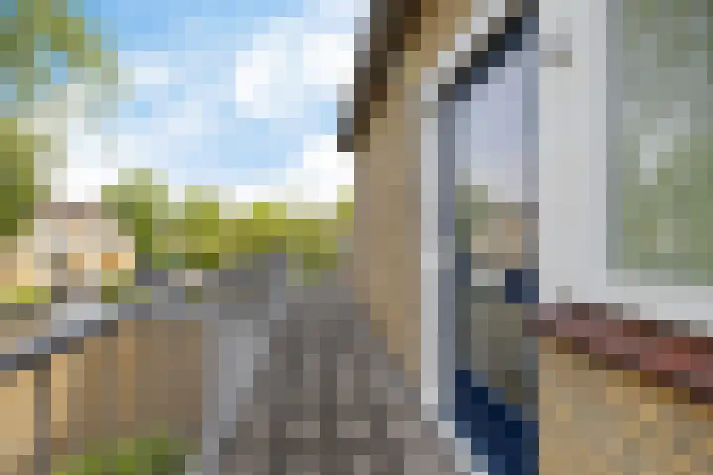 De Vlet 82 1 Grou thumbnail 5