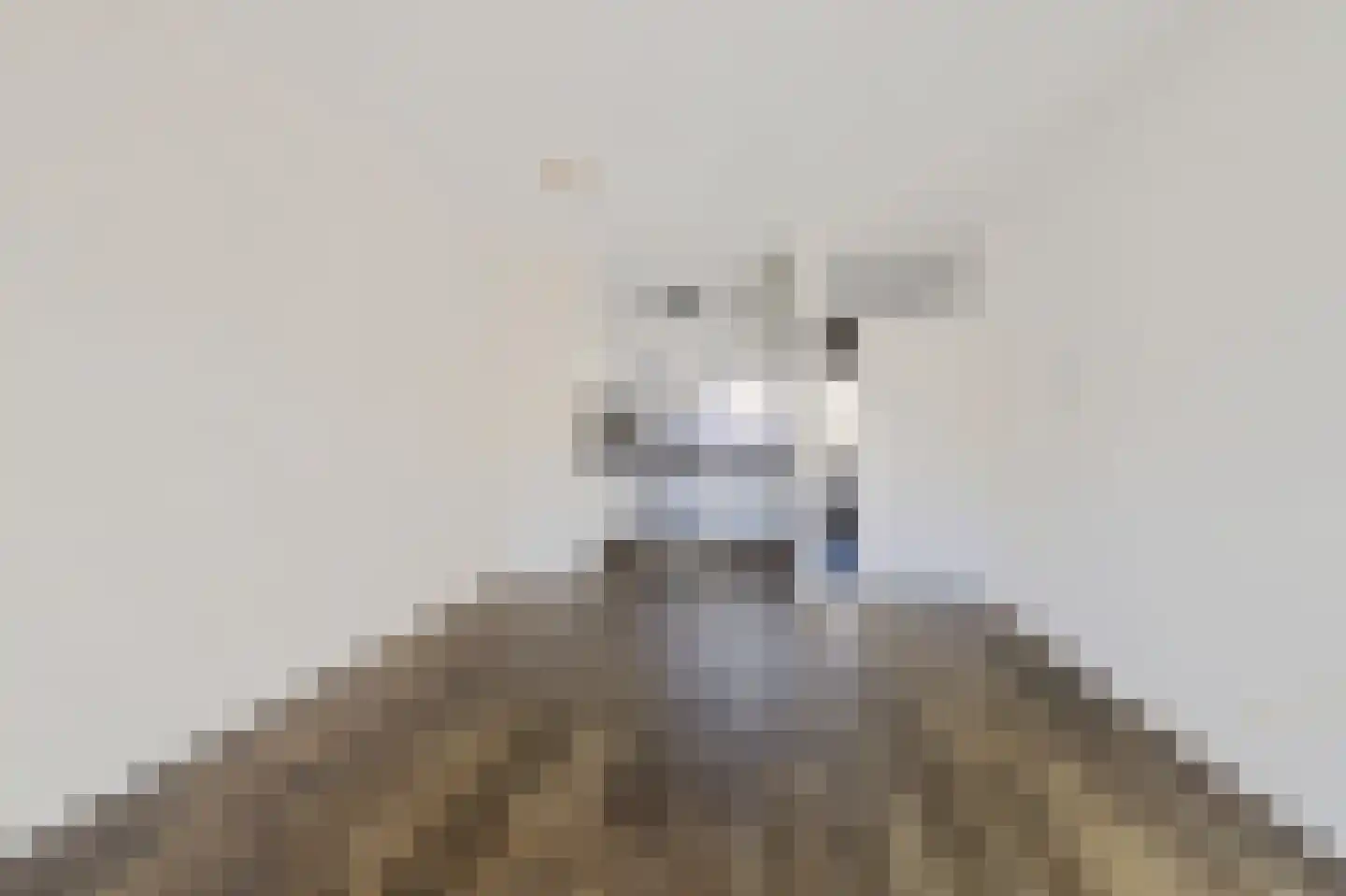 De Vlet 82 Grou thumbnail 14