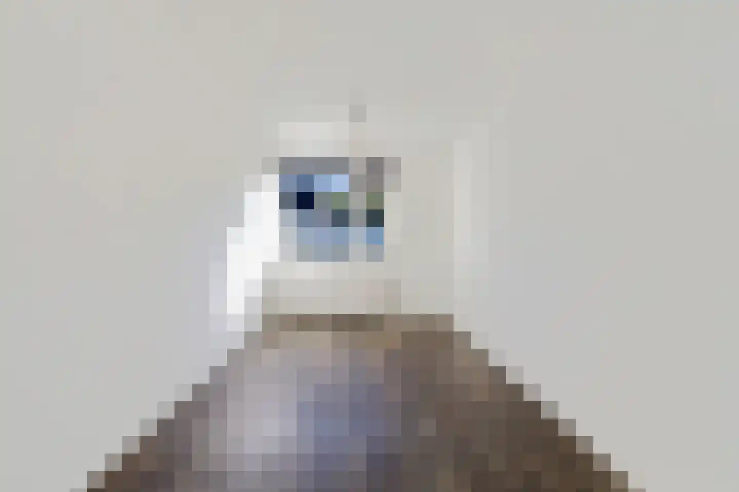 De Vlet 82 Grou thumbnail 23