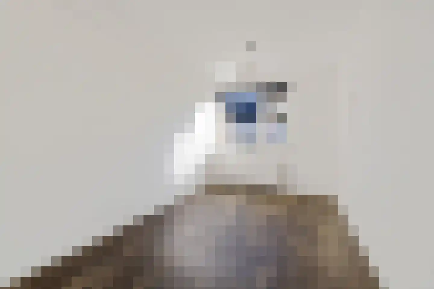 De Vlet 82 Grou thumbnail 25