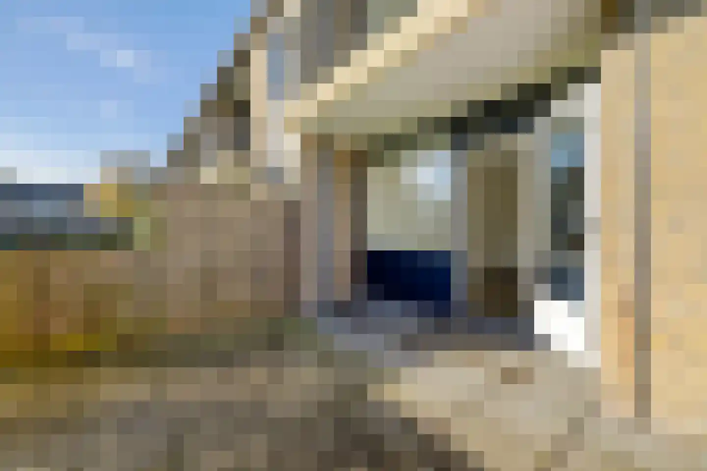 De Vlet 82 Grou thumbnail 30