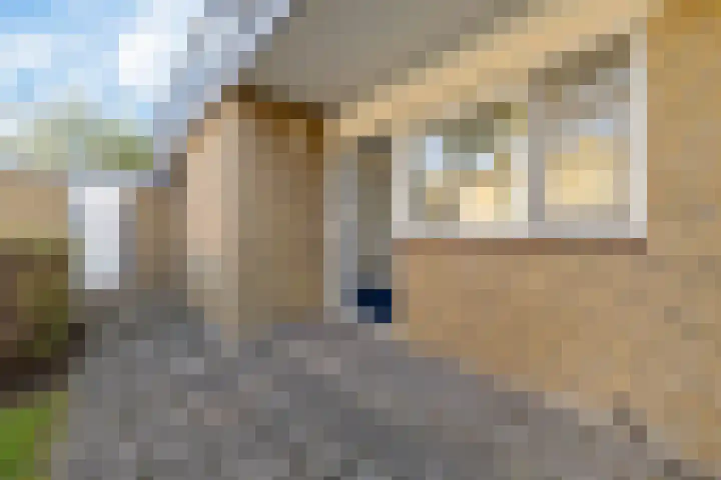 De Vlet 82 Grou thumbnail 7
