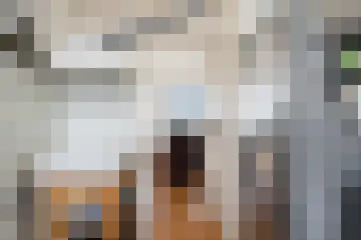 De Vlet 86 1 Grou thumbnail 11