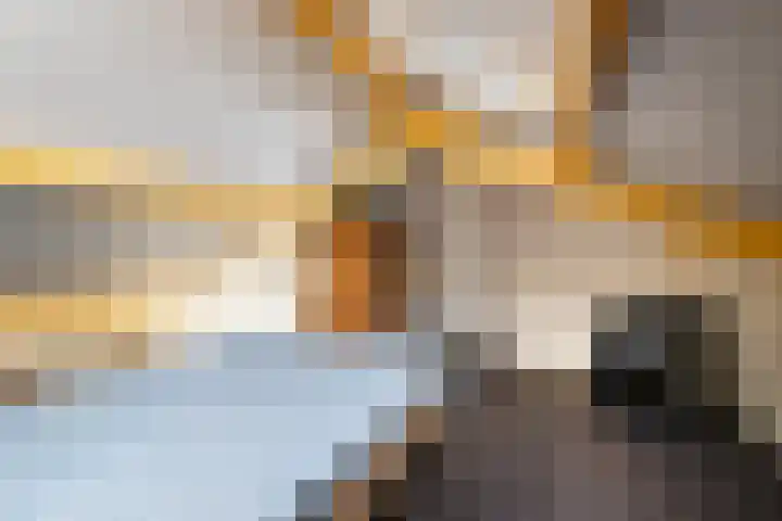 De Vlet 86 1 Grou thumbnail 16