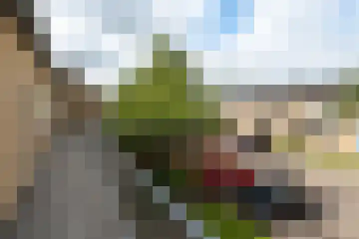 De Vlet 86 1 Grou thumbnail 21