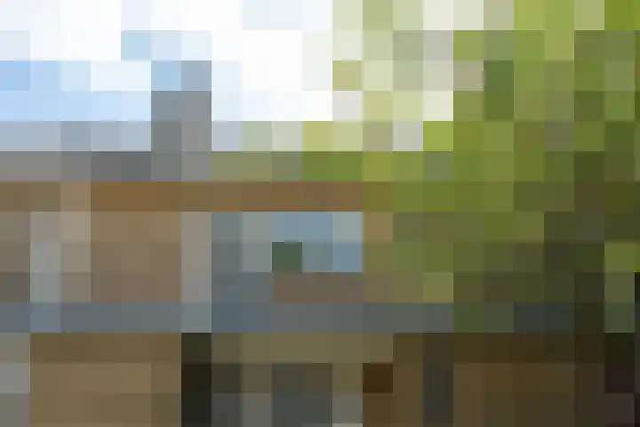 De Vlet 86 1 Grou thumbnail 22