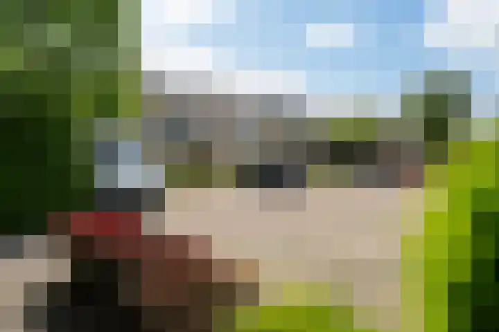 De Vlet 86 1 Grou thumbnail 24