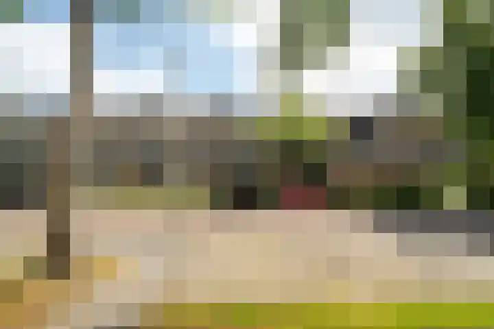 De Vlet 86 1 Grou thumbnail 25