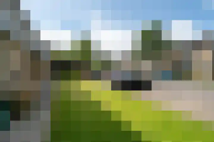 De Vlet 86 1 Grou thumbnail 26