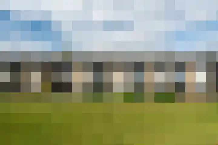 De Vlet 86 1 Grou thumbnail 30