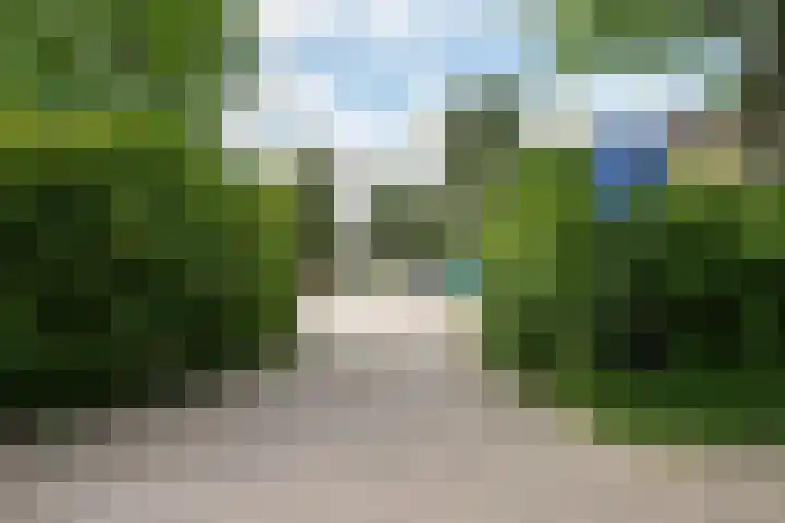 De Vlet 86 1 Grou thumbnail 32
