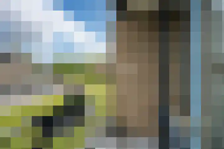 De Vlet 86 1 Grou thumbnail 8