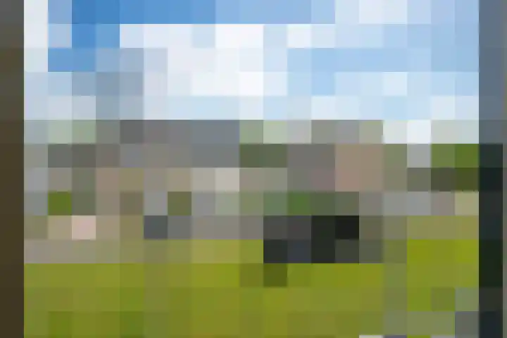 De Vlet 86 1 Grou thumbnail 9