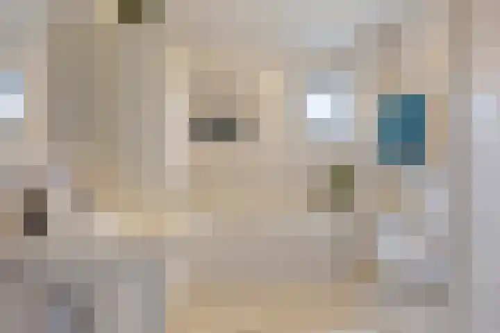De Vleyen 108 Hoofddorp thumbnail 18