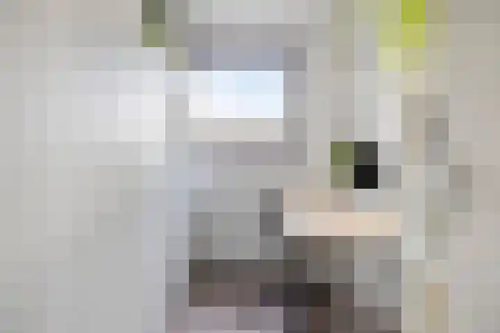 De Vleyen 108 Hoofddorp thumbnail 22