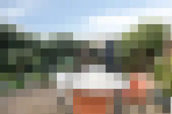 De Vleyen 108 Hoofddorp thumbnail 30