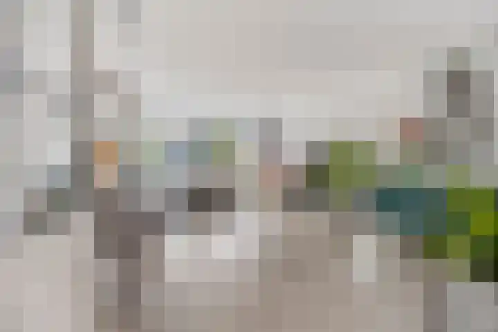 De Vleyen 108 Hoofddorp thumbnail 6