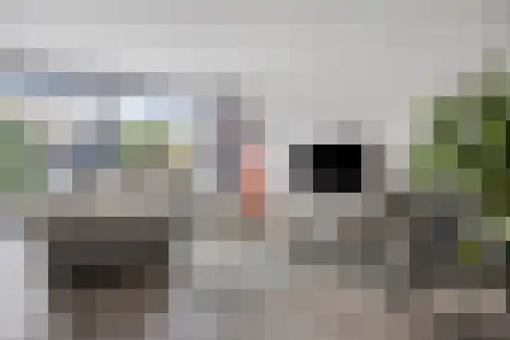 De Vleyen 108 Hoofddorp thumbnail 8