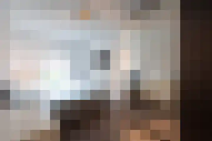 De Vleyen 96 Hoofddorp thumbnail 10