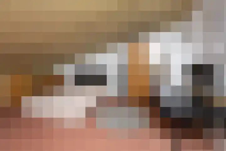 De Vleyen 96 Hoofddorp thumbnail 19