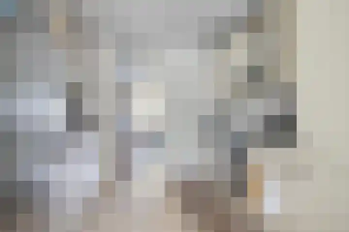 De Vliegerstraat 20 A Rotterdam thumbnail 7