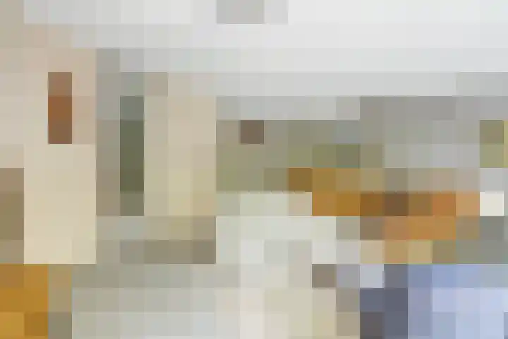 De Vliegerstraat 48 Alkmaar thumbnail 11
