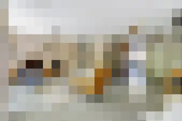 De Vliegerstraat 48 Alkmaar thumbnail 12