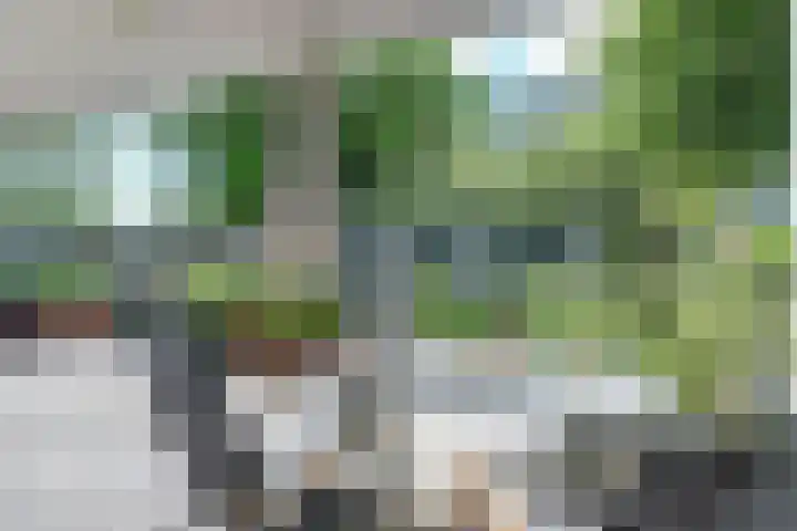 De Vliegerstraat 48 Alkmaar thumbnail 27