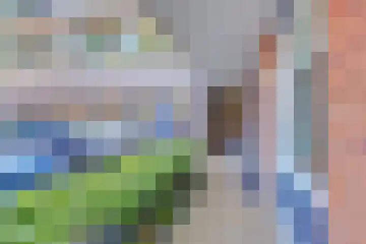 De Vliegerstraat 48 Alkmaar thumbnail 6