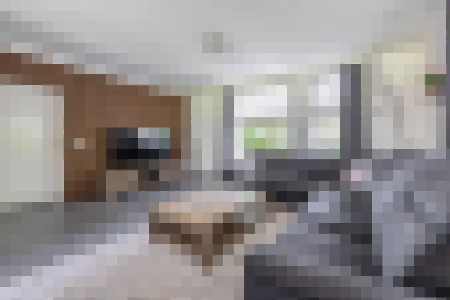 De Vliegert 18 Hapert thumbnail 10