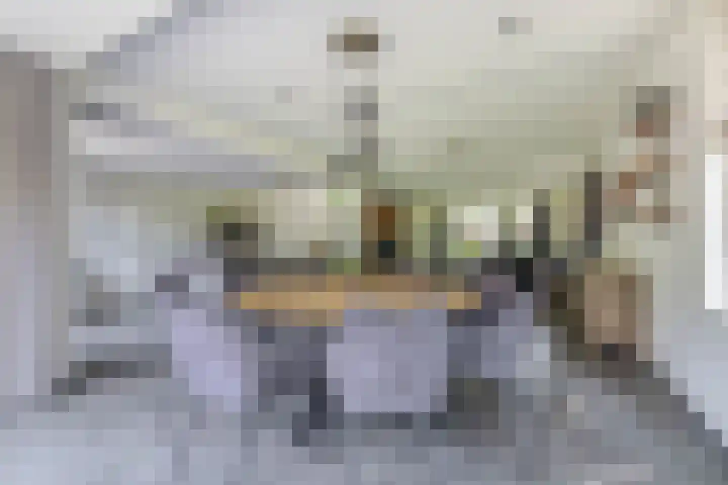 De Vliegert 18 Hapert thumbnail 13