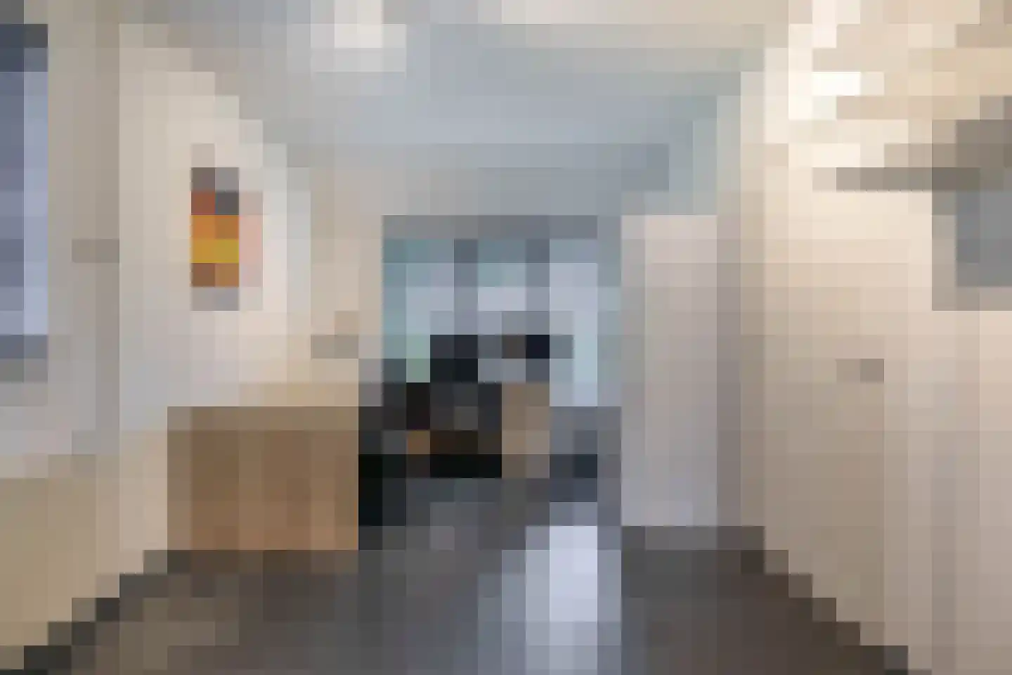 De Vliegert 18 Hapert thumbnail 22