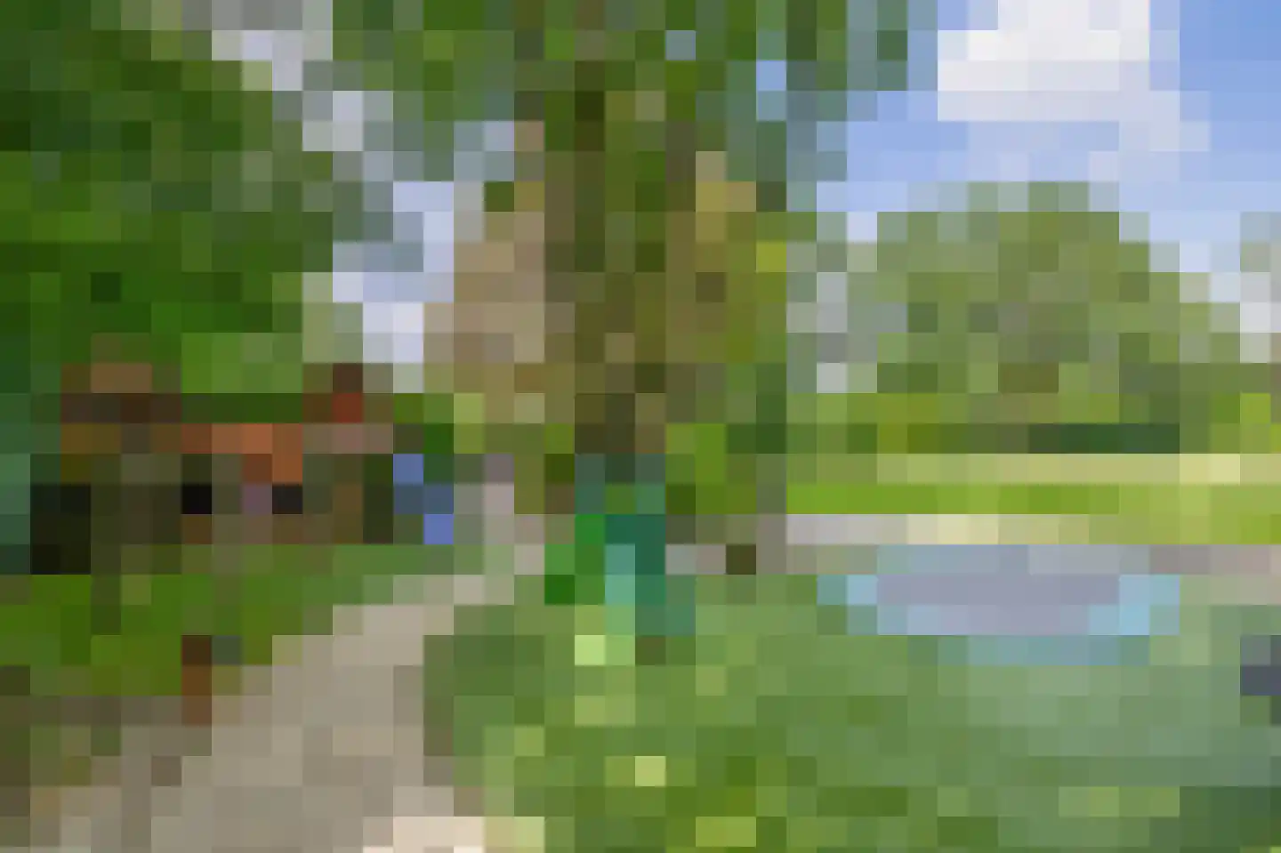 De Vliegert 18 Hapert thumbnail 50