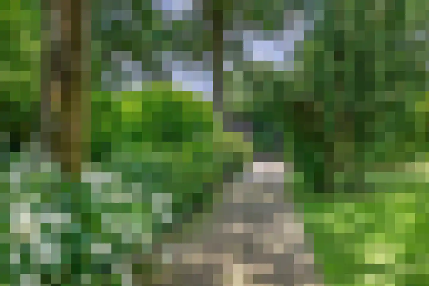 De Vliegert 18 Hapert thumbnail 51